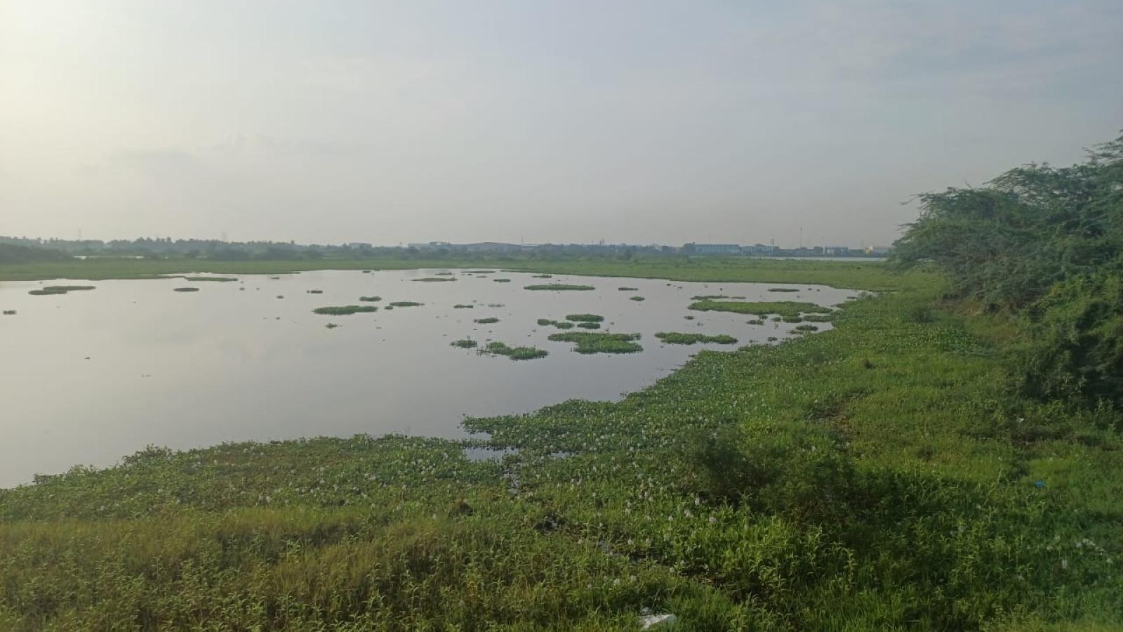 Chennai Lake