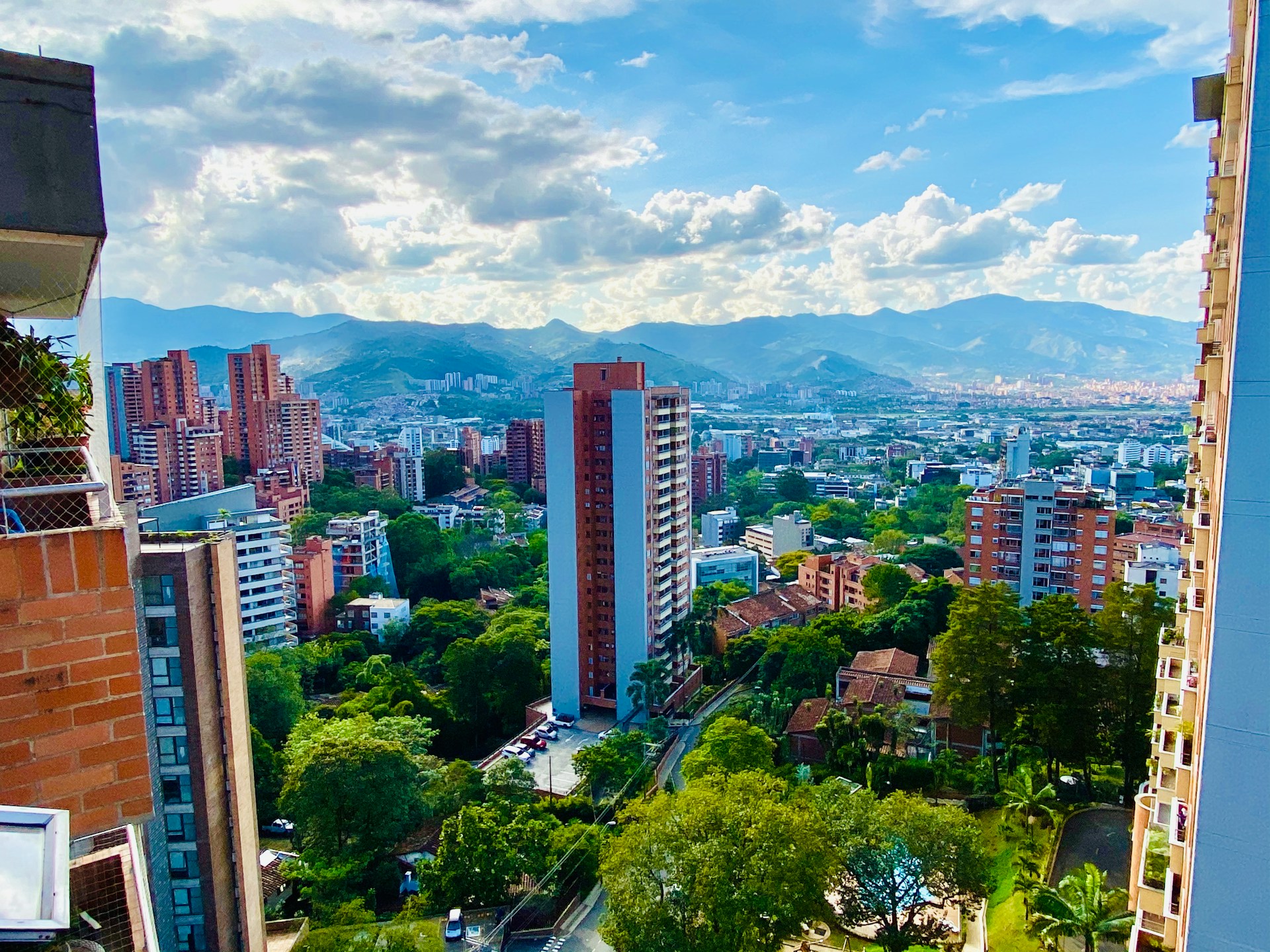 a green street in Medellin