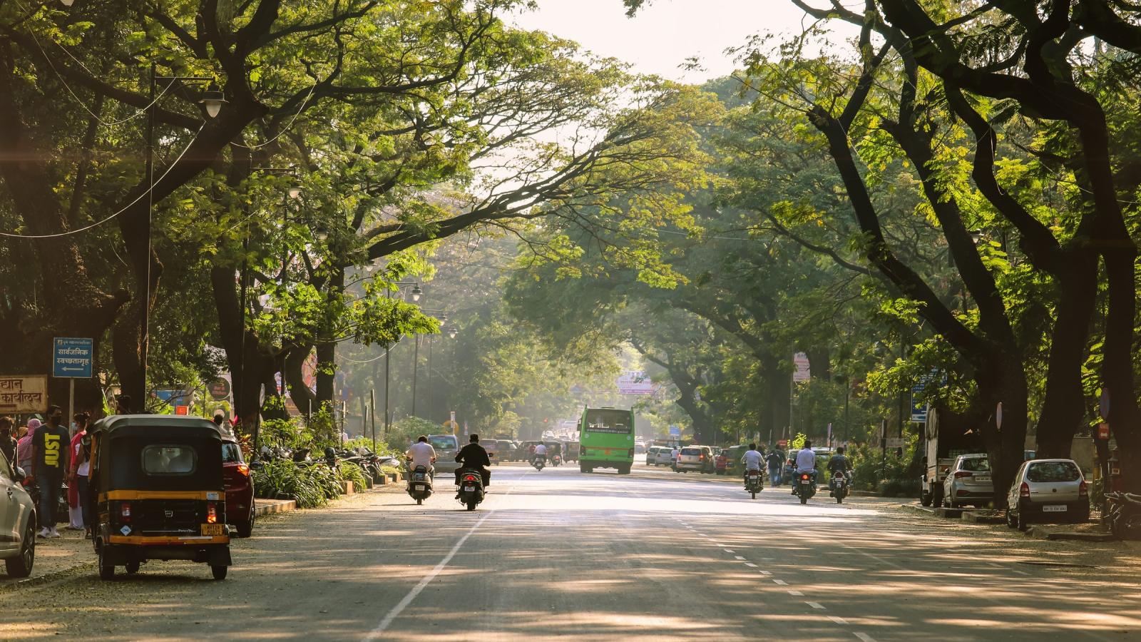 street with trees