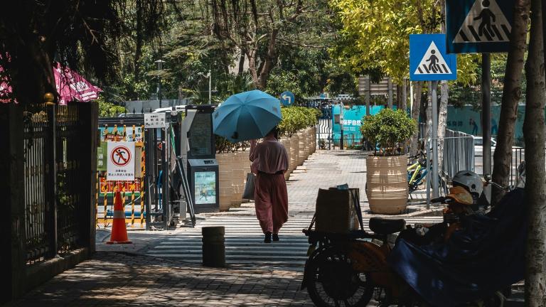 a woman walking with a sun umbrella through a tree-lined area