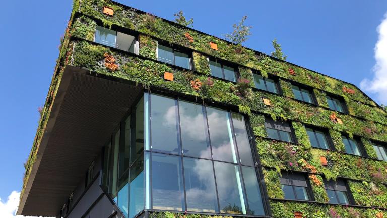 Nature on the facade of a buidling