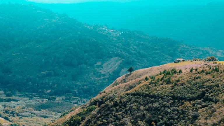 Hill on a lush landscape