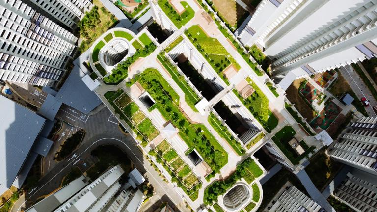 green rooftop