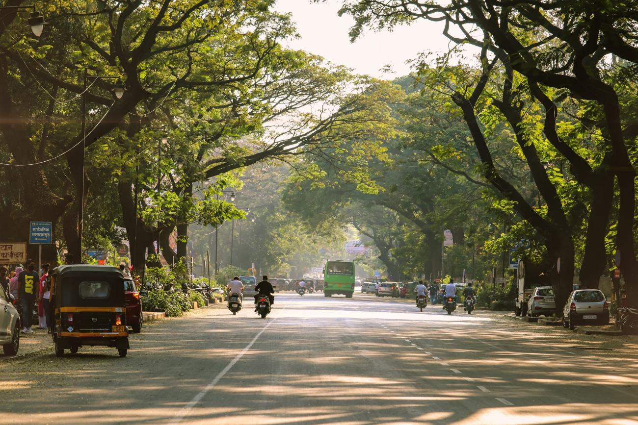 street with trees