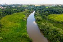 a river in brazil