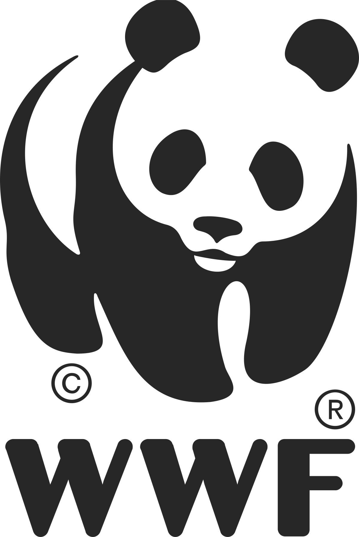 world wildlife fund meaning