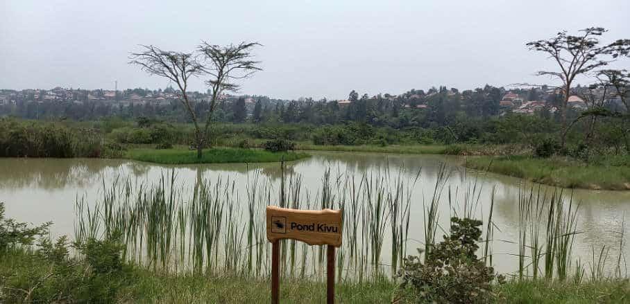 Restoring Kigali’s Wetlands To Accelerate Climate Resilience | UrbanShift